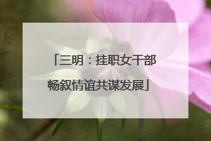 三明：挂职女干部畅叙情谊共谋发展