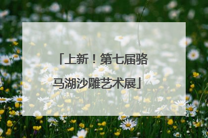上新！第七届骆马湖沙雕艺术展