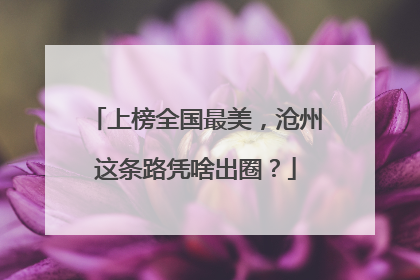 上榜全国最美，沧州这条路凭啥出圈？