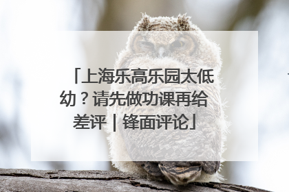 上海乐高乐园太低幼？请先做功课再给差评｜锋面评论