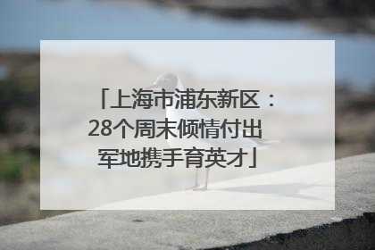 上海市浦东新区：28个周末倾情付出 军地携手育英才