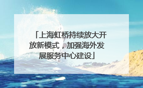 上海虹桥持续放大开放新模式，加强海外发展服务中心建设