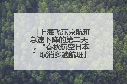 上海飞东京航班急速下降的第二天，“春秋航空日本”取消多趟航班