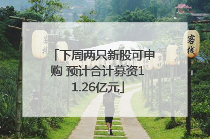 下周两只新股可申购 预计合计募资11.26亿元