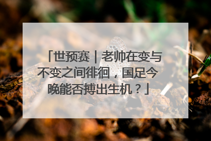 世预赛｜老帅在变与不变之间徘徊，国足今晚能否搏出生机？