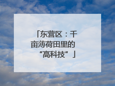 东营区：千亩薄荷田里的“高科技”