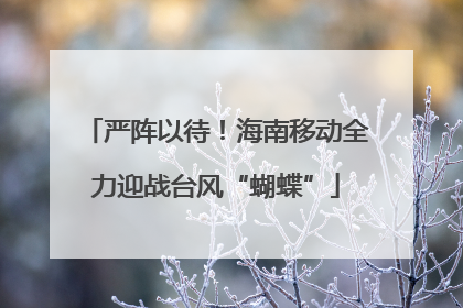 严阵以待！海南移动全力迎战台风“蝴蝶”
