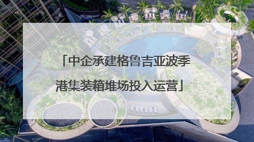 中企承建格鲁吉亚波季港集装箱堆场投入运营