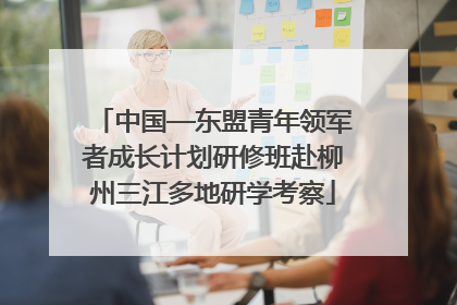 中国—东盟青年领军者成长计划研修班赴柳州三江多地研学考察