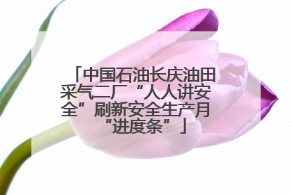 中国石油长庆油田采气二厂“人人讲安全”刷新安全生产月“进度条”