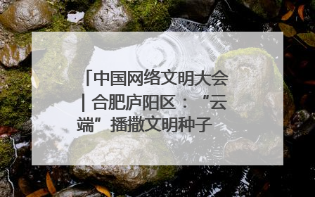 中国网络文明大会｜合肥庐阳区：“云端”播撒文明种子 共建清朗网络空间