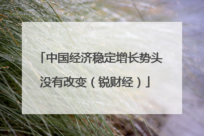 中国经济稳定增长势头没有改变（锐财经）
