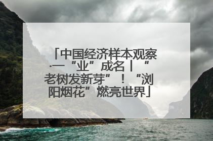 中国经济样本观察·一“业”成名丨“老树发新芽”！“浏阳烟花”燃亮世界