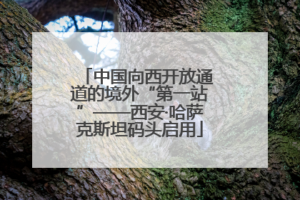 中国向西开放通道的境外“第一站”——西安·哈萨克斯坦码头启用