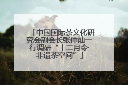 中国国际茶文化研究会副会长张仲灿一行调研“十二月令·非遗茶空间”