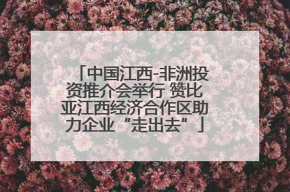 中国江西-非洲投资推介会举行 赞比亚江西经济合作区助力企业“走出去”