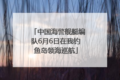 中国海警舰艇编队6月6日在我钓鱼岛领海巡航
