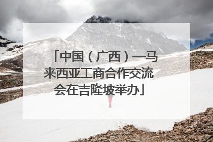 中国（广西）—马来西亚工商合作交流会在吉隆坡举办