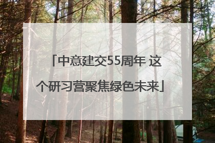 中意建交55周年 这个研习营聚焦绿色未来