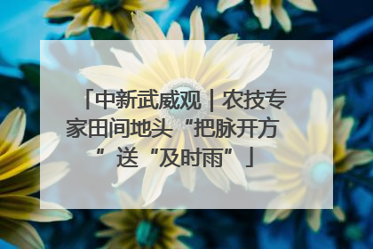 中新武威观｜农技专家田间地头“把脉开方”送“及时雨”