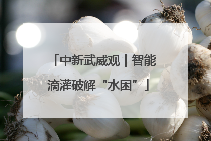 中新武威观｜智能滴灌破解“水困”