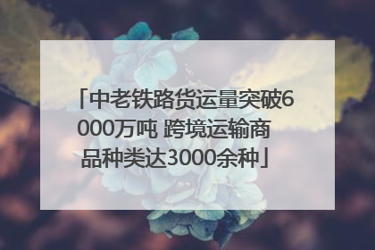 中老铁路货运量突破6000万吨 跨境运输商品种类达3000余种