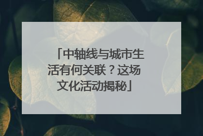 中轴线与城市生活有何关联？这场文化活动揭秘