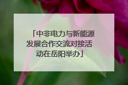 中非电力与新能源发展合作交流对接活动在岳阳举办