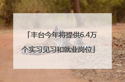 丰台今年将提供6.4万个实习见习和就业岗位