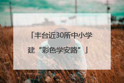 丰台近30所中小学建“彩色学安路”