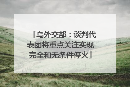 乌外交部：谈判代表团将重点关注实现完全和无条件停火