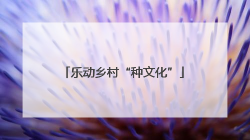 乐动乡村“种文化”