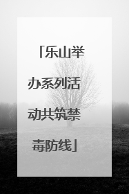 乐山举办系列活动共筑禁毒防线
