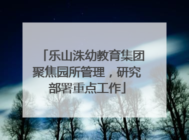 乐山洙幼教育集团聚焦园所管理，研究部署重点工作