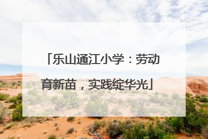 乐山通江小学：劳动育新苗，实践绽华光