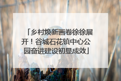 乡村焕新画卷徐徐展开！谷城石花镇中心公园奋进建设初显成效