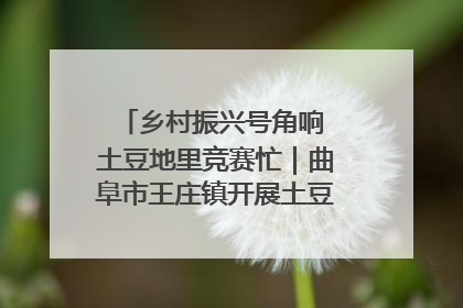 乡村振兴号角响 土豆地里竞赛忙｜曲阜市王庄镇开展土豆收获劳动竞赛