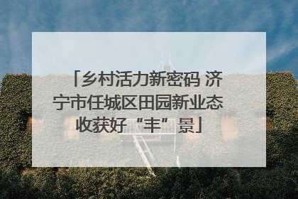 乡村活力新密码 济宁市任城区田园新业态收获好“丰”景