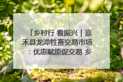 乡村行 看振兴｜嘉禾县龙潭牲畜交易市场：优惠赋能促交易 乡村振兴添动能