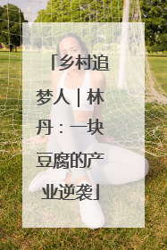 乡村追梦人｜林丹：一块豆腐的产业逆袭
