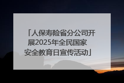 人保寿险省分公司开展2025年全民国家安全教育日宣传活动