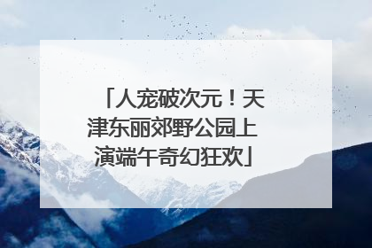 人宠破次元！天津东丽郊野公园上演端午奇幻狂欢