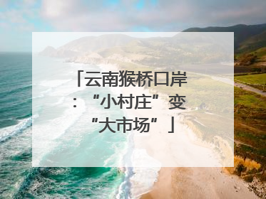 云南猴桥口岸：“小村庄”变“大市场”