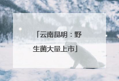 云南昆明：野生菌大量上市