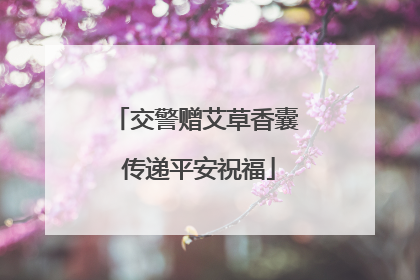 交警赠艾草香囊 传递平安祝福