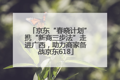 京东“春晓计划”携“新商三步法”走进广西，助力商家备战京东618