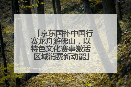 京东国补中国行赛龙舟游佛山，以特色文化赛事激活区域消费新动能