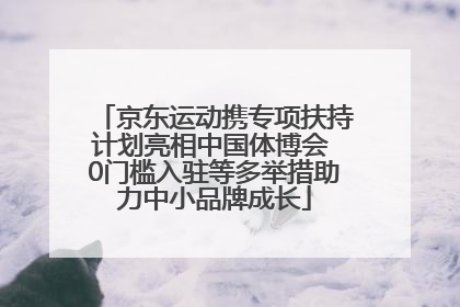 京东运动携专项扶持计划亮相中国体博会 0门槛入驻等多举措助力中小品牌成长
