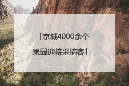 京城4000余个果园迎接采摘客