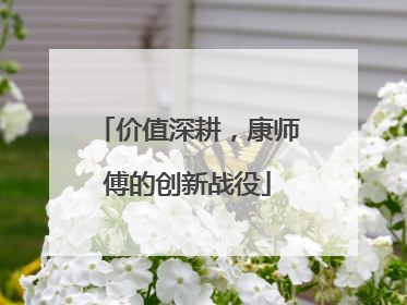 价值深耕，康师傅的创新战役